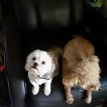 JoAnn Fields - @joann.fields.969 - Instagram
