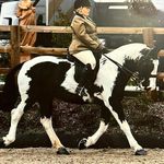 Joanne Flaherty - @missjoanneflaherty - Instagram