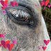 Joann Floyd - Facebook