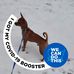 JoAnn Floyd - Facebook