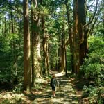 Jo-Ann Foo-Teo - @josewcrafty - Instagram