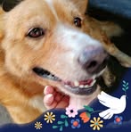 Joann Foo - Facebook