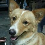 Joann Foo - @foojoann - Instagram