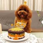 joanne foo - @foojojo86 - Instagram