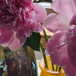 Jo Ann Forbes - @joann.forbes.9 - Instagram