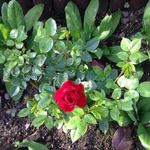 Joan Forbes - @forbes.joan - Instagram