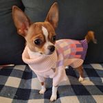 Joann Forbes - @joann.forbes.37 - Instagram