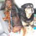 Joanne Forbes - Facebook