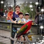 Joanne Forbes - @joanne.forbes.3382 - Instagram