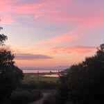 JoAnn Gallagher - @joann_gallagher_ - Instagram