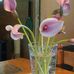 JoAnn Gallagher - Facebook