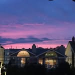JoAnn Gallagher - @joanngallagher2 - Instagram