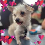 Joanne Gallagher - @joanne.olive02 - Instagram