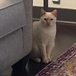 JoAnn Gentry - @joanngentry1 - Instagram