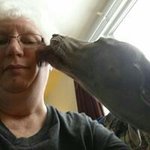 JoAnn Good - @goodjoann - Instagram