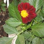 JoAnn Goodman - @jgoodman43 - Instagram