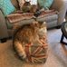 Joanne Goodman - Facebook