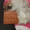 Joan Goodwin - @joan.goodwin6 - TikTok