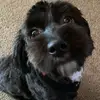 Joan Goodwin - @joan.goodwin8 - TikTok