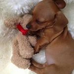 Joann Goss - @gossjoann - Instagram
