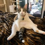 JoAnn Lebow Gould - @joannlgould - Instagram