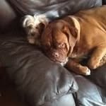Joanne Gould - @joanne.gould.716 - Instagram