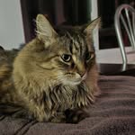 Joanne Gould - @joanne.gould.585 - Instagram
