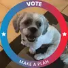 Joann Greco O'Connel - @janigo2020 - TikTok