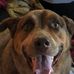 JoAnn Greene - Facebook