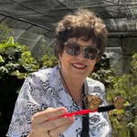 Joann Greene Alexander - @joanngreenealexander - Instagram