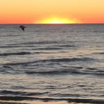 Jo Anna Gresham - @greshamjas52 - Instagram