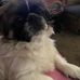 Jo-Ann Grimes - Facebook