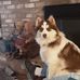 Joann Grubb - Facebook