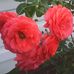 JoAnn Gunter - Facebook