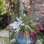 Jo-Ann Guthrie - @joannguthrie3 - Instagram