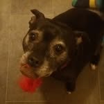 Joanne Hackett - @joanne.hackett.75 - Instagram