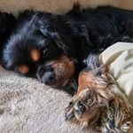 Jo-ann Hale - @joann.hale - Instagram