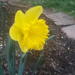 joann - @joannhamrick2 - Instagram