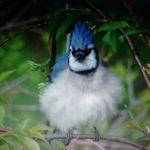 Joann Hanson - @joann314151 - Instagram