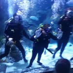 Joanne Hanson - @joanne.hanson.900 - Instagram