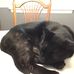 Joann Harrington - Facebook