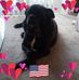 JoAnn Harrington - Facebook