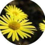 JoAnn Harrington - @gammie4.9 - Instagram