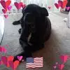 JoAnn Harrington - @joannharrington2 - TikTok