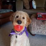Joanne Harwell - Facebook