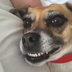 Joanne Hatcher-Cross - @joannehatchercross - Instagram