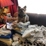 Jo Anne Hauser - @joanne.hauser - Instagram