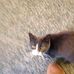 Joan Heck - Facebook