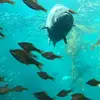 JoAnn Hennings - @joann.hennings - TikTok