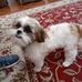 Joann Herring - Facebook
